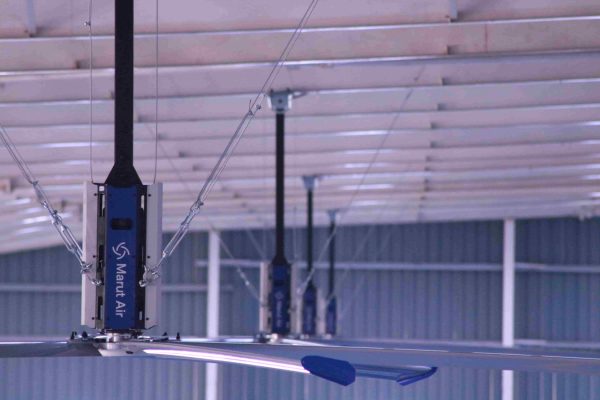 Are You Planning To Buy Hvls Fan? Have You Checked These Factors?