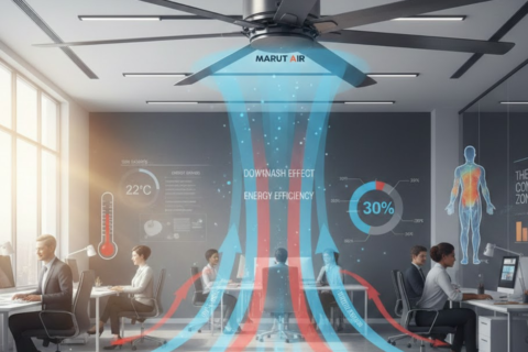 The Science Behind Air Circulation and Thermal Comfort