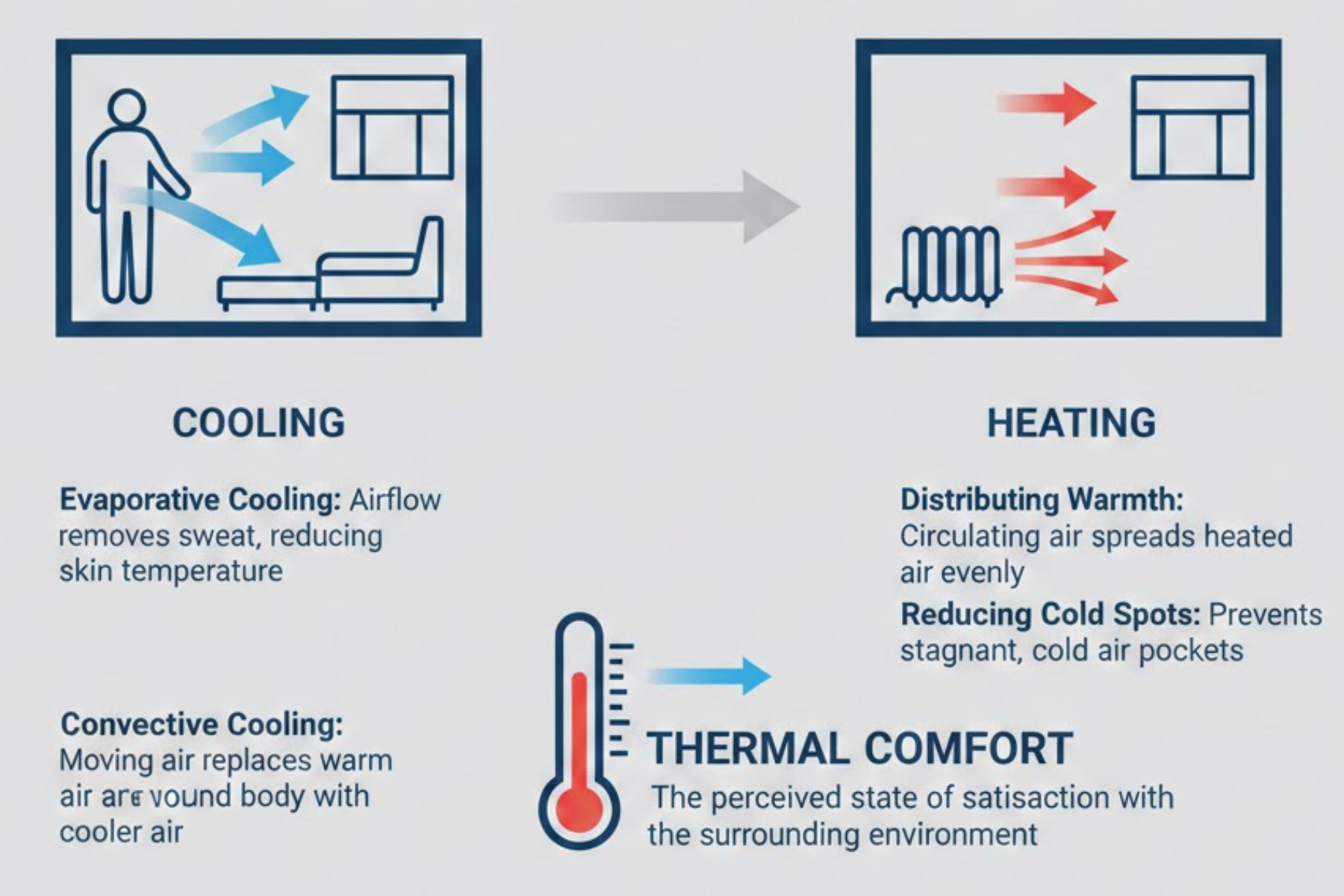 The Science Behind Air Circulation and Thermal Comfort