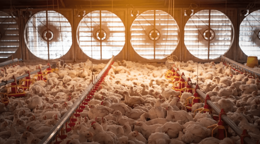 What is negative pressure ventilation?