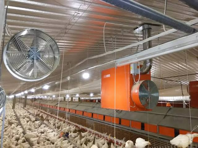 Why is ventilation necessary for the poultry house?&nbsp;
